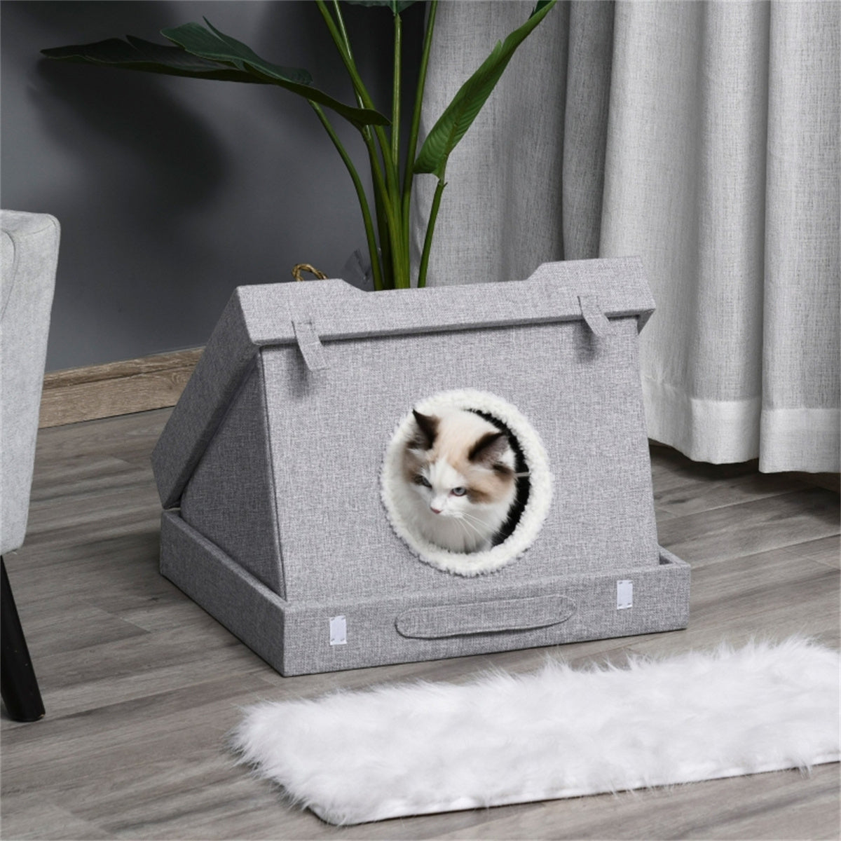 Cat House